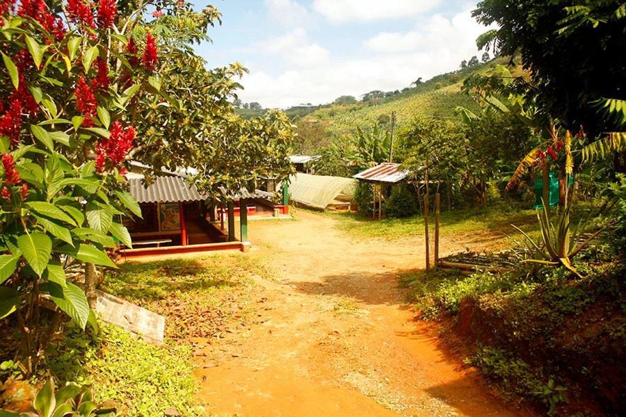 Caficultur -Alojamiento Rural Buenavista  Екстериор снимка